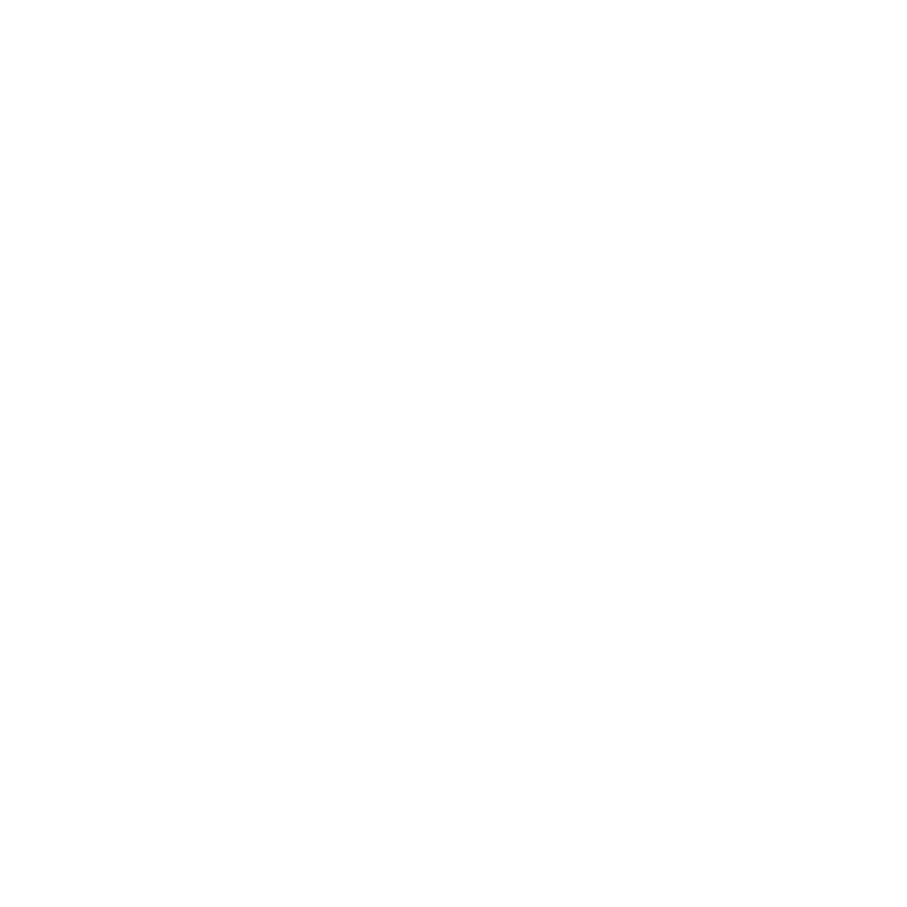 CAPTAIN FREEDOM