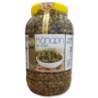 ΚΑΠΑΡΗ ΘΗΣΑΥΡΟΣ ΓΗΣ ΣΕ ΑΛΜΗ 2950g (Σ.Β. 1800g)*4
